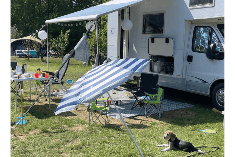 Blog 12 8