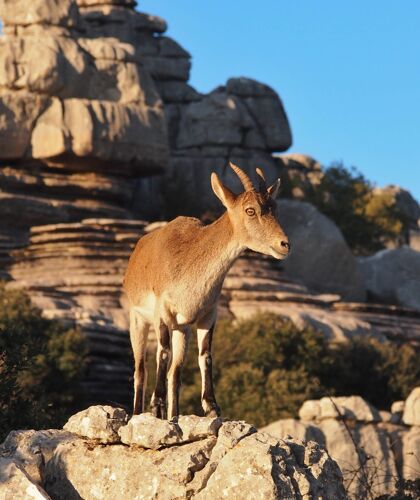 National park 2