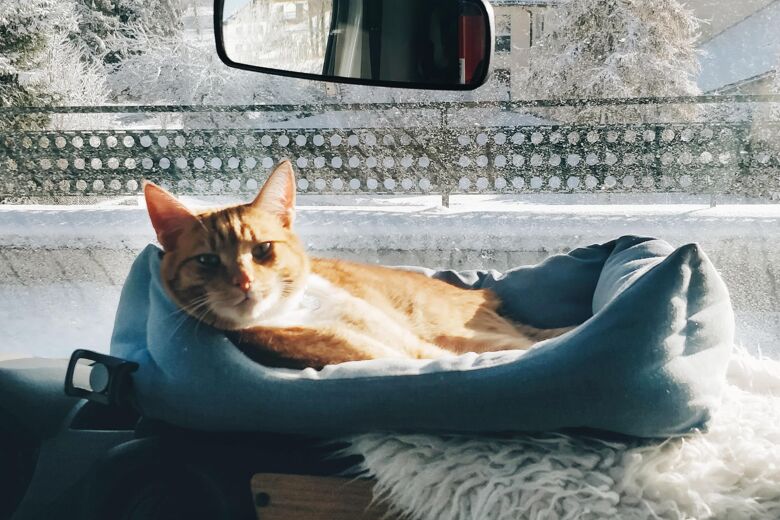 1. Ollie Sneeuw