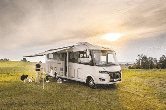 Frankia camper