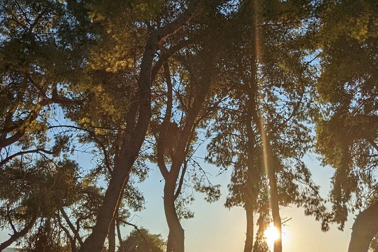 preventietips inbraak