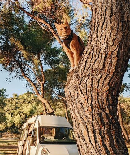 PXL_20221016_152508166.MP