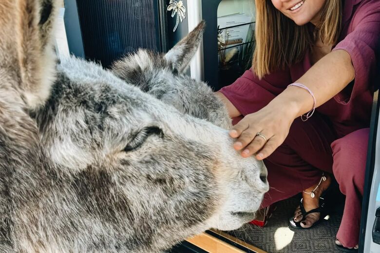 IMG_20240206_104452_893