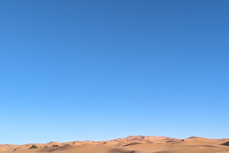 PXL_20240124_091209726