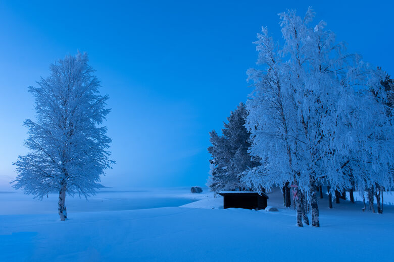 Zweeds lapland -26 graden